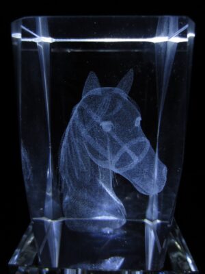 3d Paardenhoofd