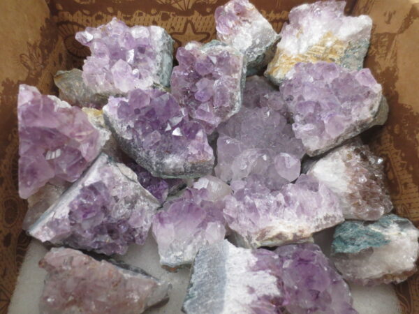 Amethyst Cluster (6st) - groothandel