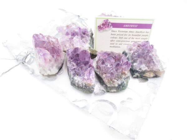 Amethyst Cluster (6st) - groothandel