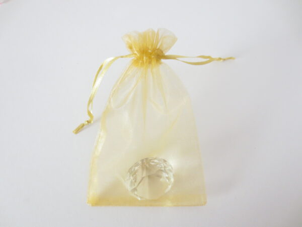 Organza Zakjes 10 x 15cm Licht Goud