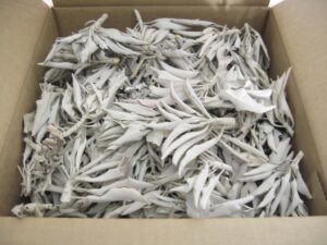 Witte Salie - Clusters - (5000g)