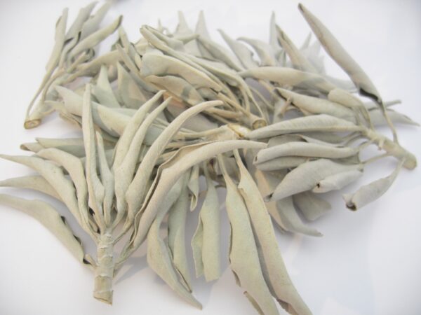 Witte Salie - Clusters - (50g)