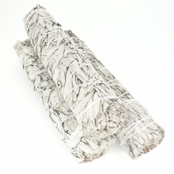 Witte Salie - Smudge Stick Bundle - Super Groot - 23 cm