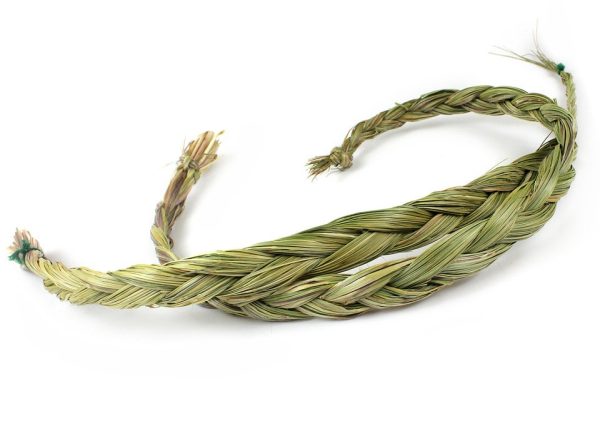 Groothandel - Sweetgrass AA kwaliteit (60-70 cm)