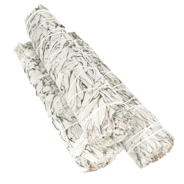 Witte Salie Smudge Stick Bundle 14-16 cm ( 3 x 50g - 60g)